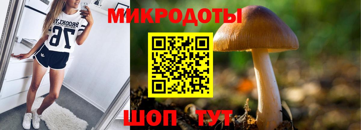 Галлюциногенные грибы прущие грибы  хочу наркоту  Клинцы  Вход с VPN 